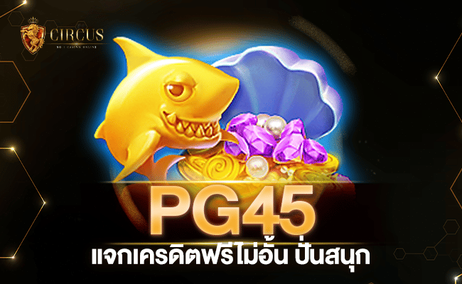 โปรส่งท้ายปี pg45