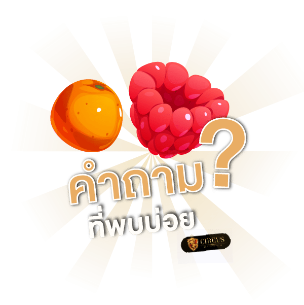 slotkub คำถาม