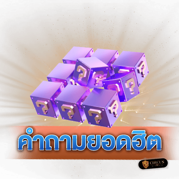 11 คำถามยอดฮิต