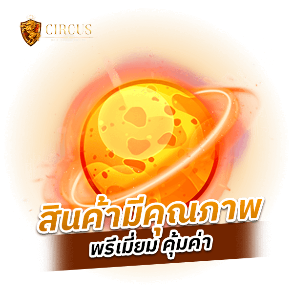 สินค้ามีคุณภาพ พรีเมี่ยม คุ้มค่า-