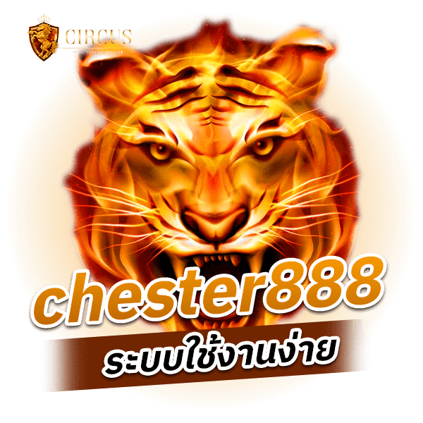 chester888 ระบบใช้งานง่าย