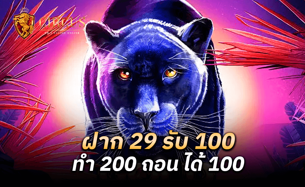 ฝาก 29 รับ 100